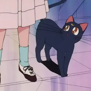 哈尔滨虹姐再回到从前
