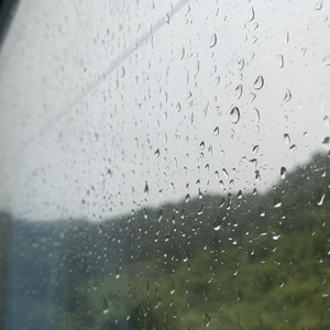 哈尔滨虹姐再回到从前
