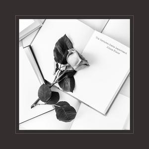 哈尔滨虹姐再回到从前
